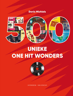 500 unieke One Hit Wonders - Denis Michiels (ISBN 9789464712841)