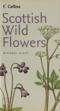 Scottish Wild Flowers - Michael Scott
