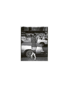 Pieter's New Yorkers - Pieter Vandermeer, Wim de Jong, Hripsimé Visser, Gerwin Tamsma (ISBN 9789462264786)