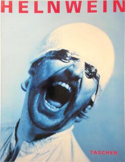 Helnwein - Helnwein, Andreas Mäckler, Peter Feierabend (ISBN 9783822893524)