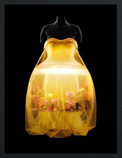 Sleeping Beauties - Andrew Bolton (ISBN 9781588397775)