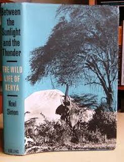 Between the Sunlight and the Thunder - Noel Simon