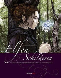 Elfen schilderen - Amandine Labarre (ISBN 9789043913256)