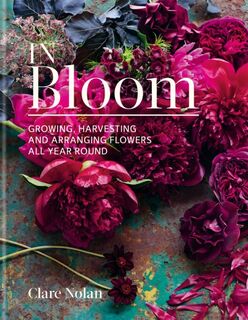 In Bloom - Clare Nolan (ISBN 9780857833051)