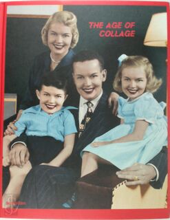 The Age of Collage - Robert Klanten, Lincoln Dexter, Dennis Busch, Francesca Gavin (ISBN 9783899551105)