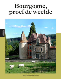 Bourgogne - Marion van Amelrooij (ISBN 9789493300279)