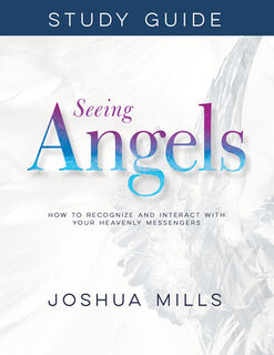 Seeing Angels Study Guide - Mills Joshua Mills (ISBN 9781641234207)