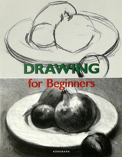 Drawing for Beginners - Francisco Asensio Cerver, Ramón de Jesús Rodríguez Rodríguez (ISBN 9783829019323)