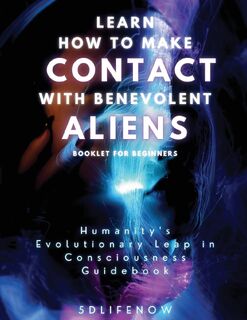 Learn How to Make Contact with Benevolent Aliens - L. M. M. (ISBN 9798889402831)