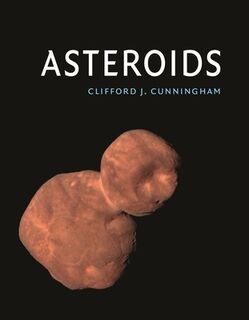 Asteroids - Clifford J. Cunningham (ISBN 9781789143584)