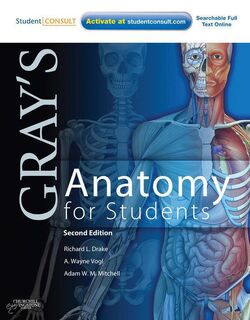 Gray's Anatomy for Students - Richard L. Drake, A. Wayne Vogl, Adam W. M. Mitchell (ISBN 9780443069529)