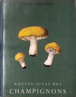 Nouvel Atlas des Champignons - Tome IV - Henri Romagnesi