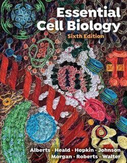 Essential Cell Biology - Bruce Alberts, Rebecca Heald, Karen Hopkin, Alexander Johnson (ISBN 9781324033356)