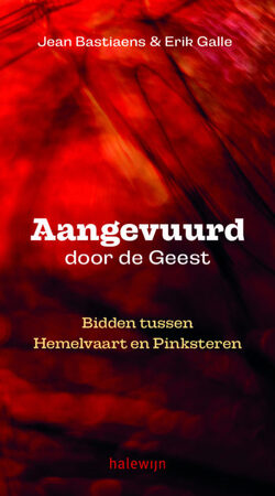Aangevuurd door de geest - Jean Bastiaens, Erik Galle Aangevuurd door de geest - Jean Bastiaens, Erik Galle