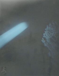 Prophet - Geert Goiris