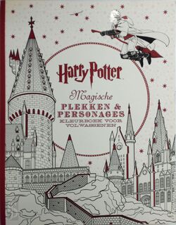Harry Potter magische plekken en personages (ISBN 9789045319896)