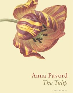 The Tulip - Anna Pavord (ISBN 9781526602688)