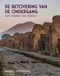 De betovering van de ondergang - Gabriel Zuchtriegel (ISBN 9789464711073)