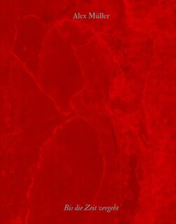 Alex Muller - Kunsthalle Nurnberg im KunstKulturQuartier (ISBN 9783987410697)