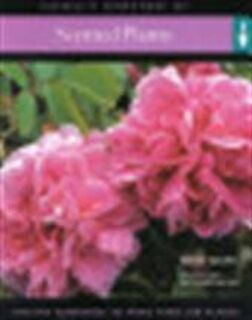 Cassell's directory of scented plants - David Squire, Lucy Huntington (ISBN 9780304356010)