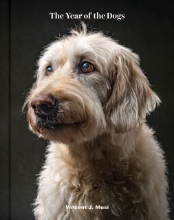 The Year of the Dogs - Vincent J. Musi (ISBN 9781452181929)