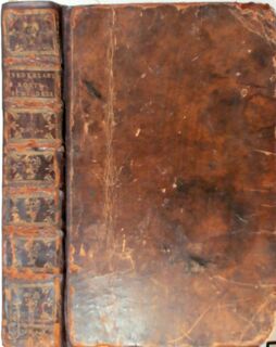De groote schouburgh der Nederlantsche konstschilders en schilderessen - Arnold Houbraken, Willem Vogelsang, P. T. A. Swillens