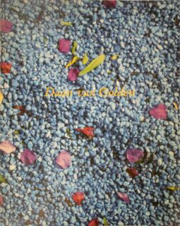 Daan van Golden - Carel Blotkamp (ISBN 9789090041506)