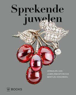 Sprekende juwelen - Martijn Akkerman (ISBN 9789462586673)