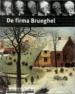 De firma Brueghel - D.H. van Wegen (ISBN 9789055443796)
