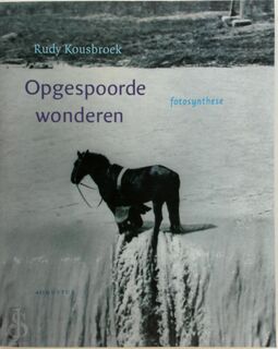 Opgespoorde wonderen - R. Kousbroek (ISBN 9789045703718)