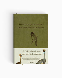 Zo'n handjevol veren met een lied eromheen - Dichters (ISBN 9789493352728)