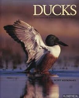 Ducks - Scott Weidensaul (ISBN 045863031747)