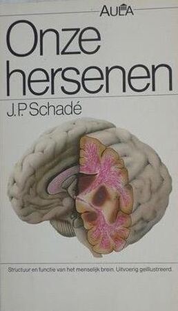 Onze hersenen - Schade Onze hersenen - Schade