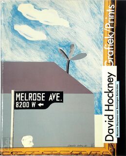 David Hockney Grafiek /Prints - Manfred Sellink (ISBN 9789069181004)