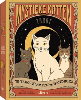 Mystieke katten - Catherine Davidson (ISBN 9789463597098)
