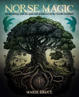 Norse Magic - Marie Bruce (ISBN 9781398839502)
