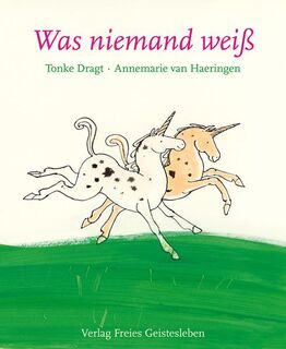 Was niemand weiß - Tonke Dragt (ISBN 9783772521898)