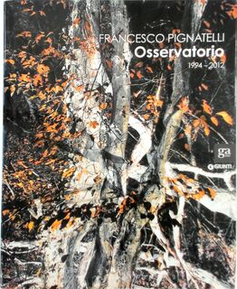 Osservatorio 1994-2012 - Francesco Pignatelli (ISBN 9788809777750)
