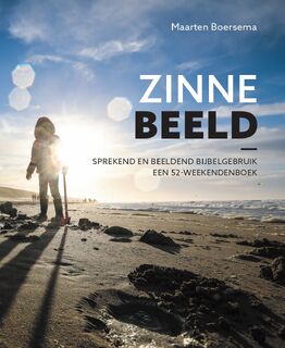 Zinnebeeld - Maarten Boersema (ISBN 9789051946390)