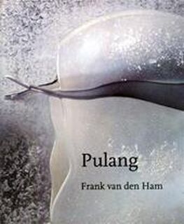 Pulang - F. van Den Ham (ISBN 9789090148618)