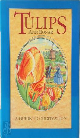 Tulips - Ann Bonar