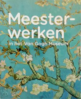 Meesterwerken in het Van Gogh Museum - Denise Willemstein, Roelie Zwikker (ISBN 9789063141219)