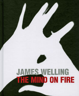 James Welling – The Mind on Fire - James Welling (ISBN 9783791353661)