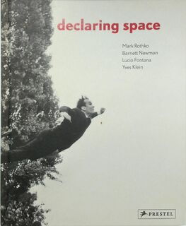 Declaring Space - Michael Auping (ISBN 9783791338866)