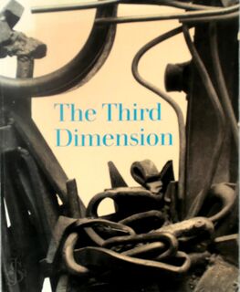 The Third Dimension - Lisa Phillips