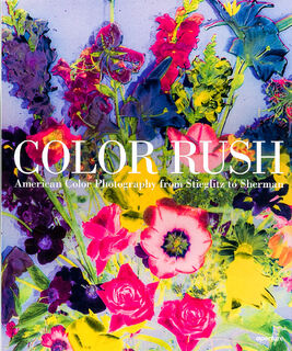 Color Rush - Katherine A. Bussard, Lisa Hostetler (ISBN 9781597112260)