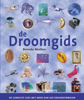De droomgids - Brenda Mallon (ISBN 9789059206441)