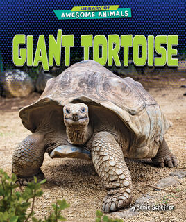 Giant Tortoise - Janie Scheffer (ISBN 9798895770443)