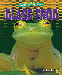 Glass Frog - Janie Scheffer (ISBN 9798895770450)