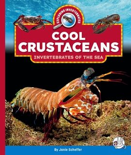 Cool Crustaceans: Invertebrates of the Sea - Janie Scheffer (ISBN 9781503894495)